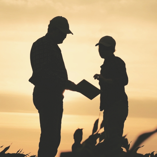 Two Workers Conversing in a Wheat Field at Dusk