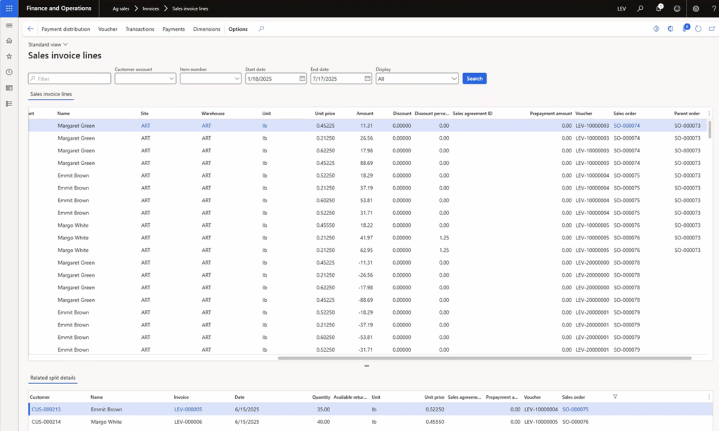 List of fields and criteria to search for a sales invoice