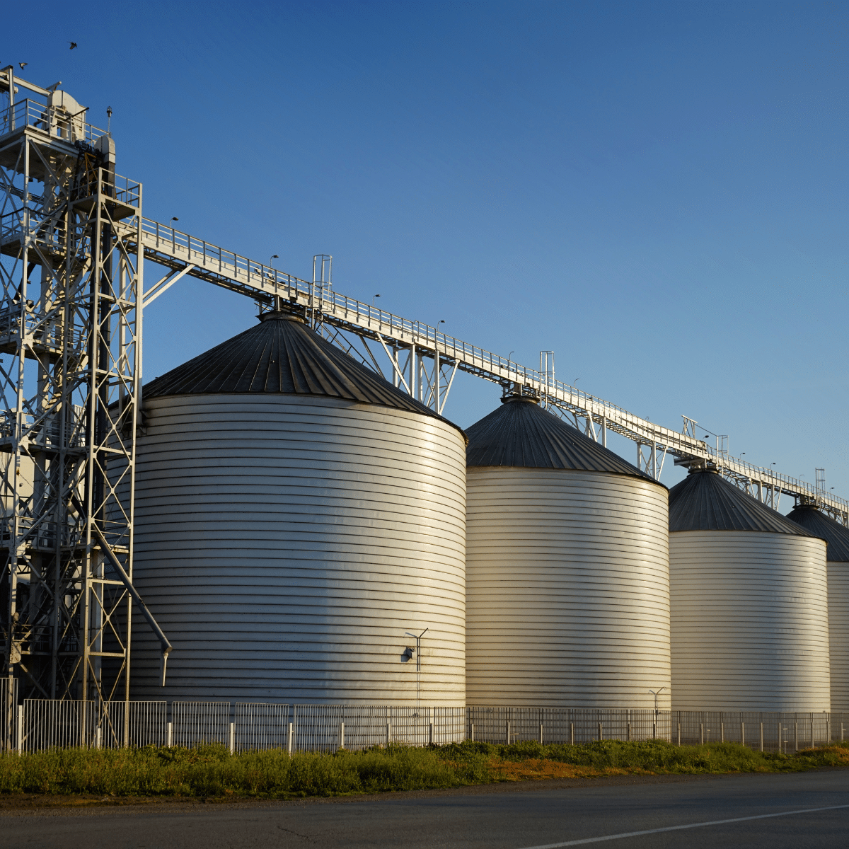 Agriculture